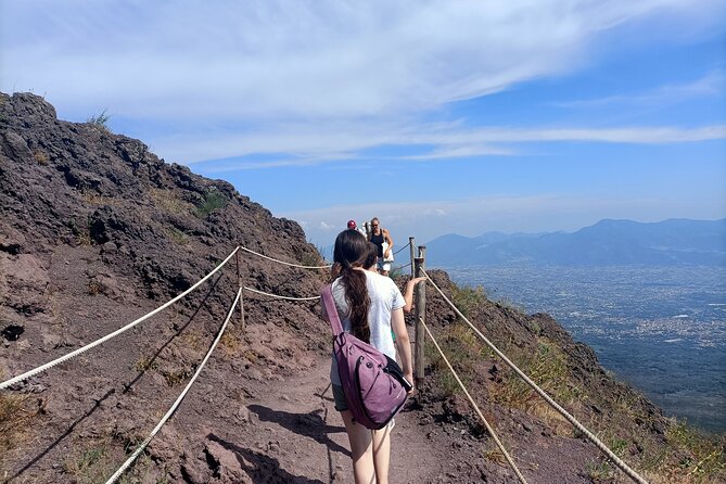 Private Full Day Pompeii & Volcano Vesuvius Tour from Rome - Practical Details: Logistics, Timing, and Physical Needs