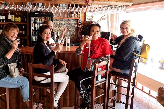 Private Full Day Rhodes Island Tour with Wine Tasting Experience - The Value Proposition: Quality, Flexibility, and Authenticity