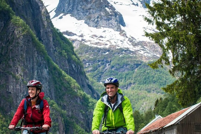 Private Full-Day Round Trip from Oslo to Sognefjord via Flåm Railway - Final Stretch to Geilo and Return