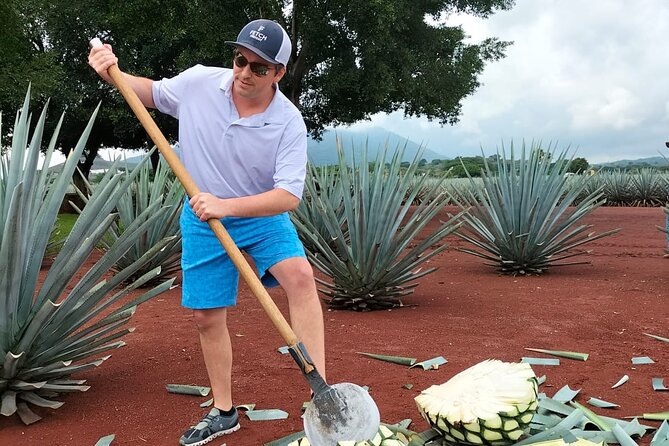Private Full-Day Ruta del Tequila Tour: Safe & Expert-Guided - Practical Details and Logistics