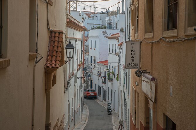 Private Full-Day Tarragona and Sitges - Insightful Guide and Personal Service