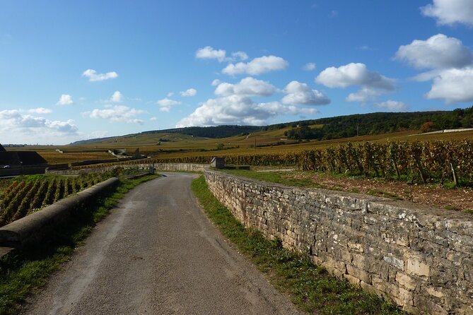 Private Full Day Tour Burgundy Gourmet - Explore Burgundys Culinary Charm on a Private Full-Day Tour