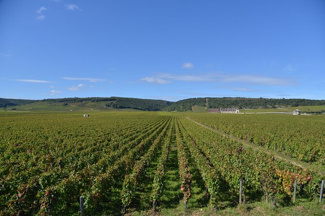 Private Full Day Tour Burgundy Gourmet - The Experience of Tasting and Sampling