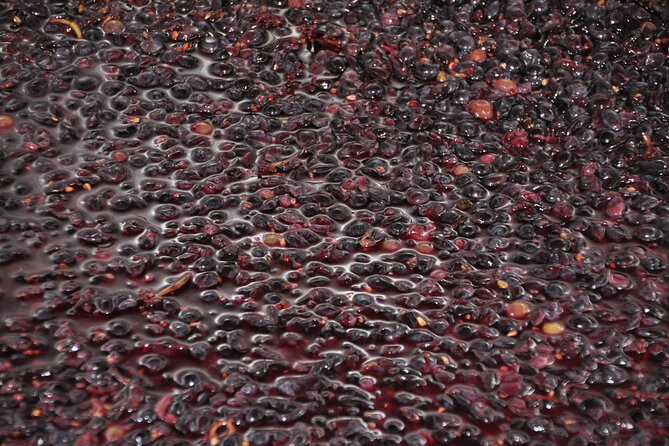 Private Full Day Tour Burgundy Gourmet - Logistics, Pacing, and Accessibility