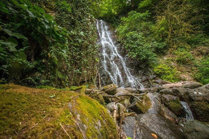Private Full Day Tour from Batumi to Waterfalls - Exploring Gonio: Roman Fortification and Mythical Origins