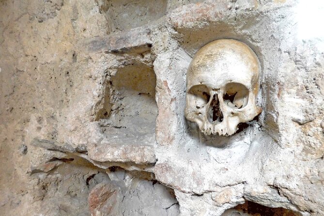 Private Full Day Tour From Belgrade in City of Ni - Key Points