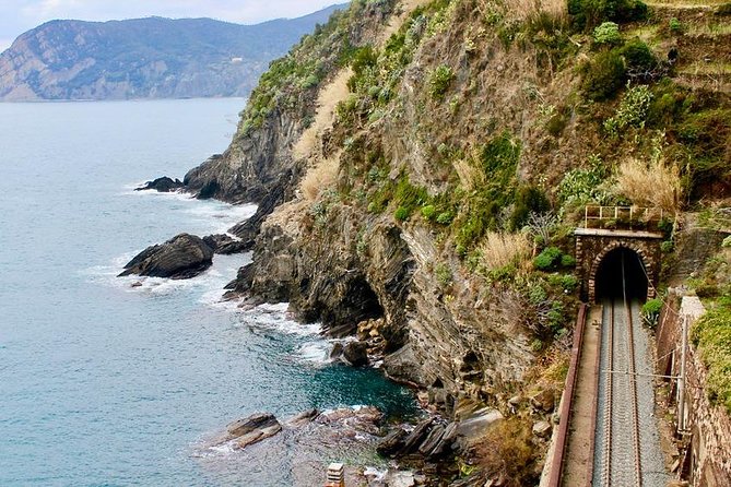 Private Full Day Tour from Genova pier: Cinque Terre - Discovering Vernazza’s Scenic Beauty and Olive Groves