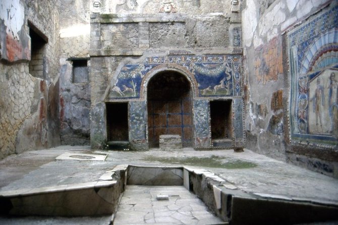 Private full day tour Herculaneum ruins Mt Vesuvio and Winery - Logistics and Practical Details of the Tour
