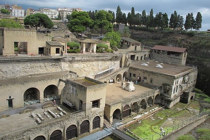 Private full day tour Herculaneum ruins Mt Vesuvio and Winery - The Experience for Cruise Ship Passengers and Local Tourists