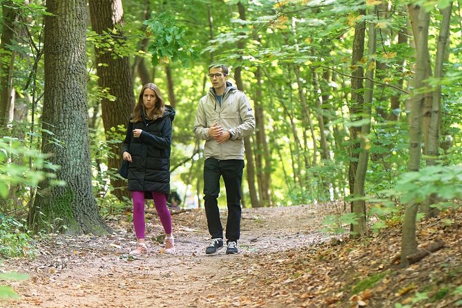 Private Full Day Tour in Baden's Black Forest - Relaxing at Mummelsee Lake
