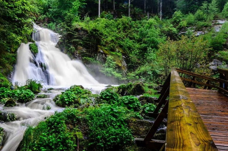 Private Full Day Tour in Badens Black Forest - Exploring Baden-Württemberg’s Black Forest on a Private Full-Day Tour