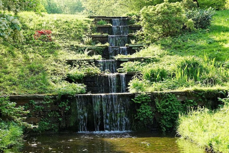 Private Full Day Tour in Badens Black Forest - Witnessing the Majestic All Saints Waterfalls