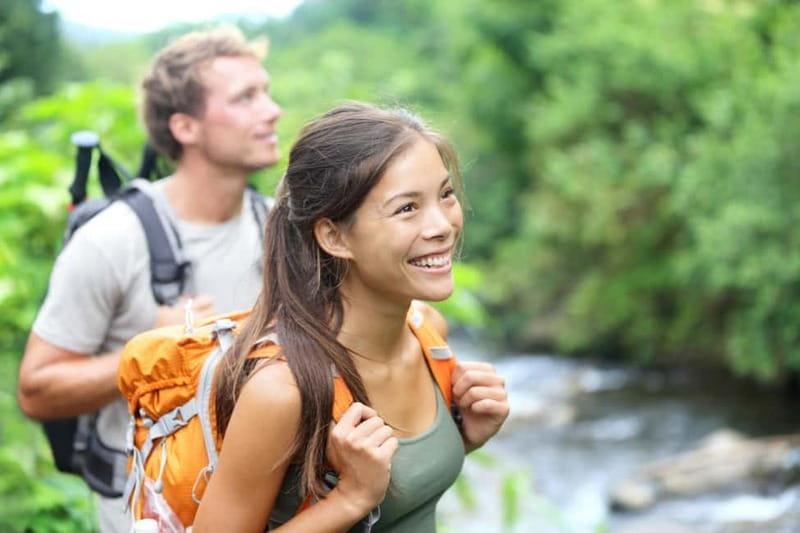 Private Full Day Tour in Badens Black Forest - Practical Details and Logistics