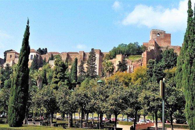 Private full day tour in Malaga from Costa del sol - Leisure Time and Shopping in Málaga’s Old Town