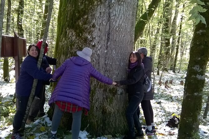 Private Full-Day Tour in Moraca and Tara Canyons, Durmitor & Biogradska Gora NP - Cross the Tara River Canyon