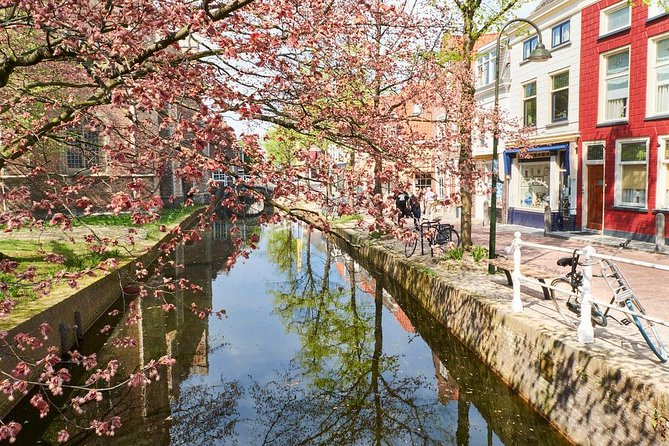 Private full-day tour of Delft and Rotterdam from Amsterdam - The Sum Up: A Well-Rounded Dutch Day Trip