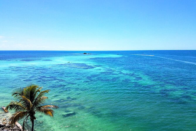Private Full-Day Tour of Florida Keys from Miami/FLL to Key West - Explore the Florida Keys with a Private Full-Day Tour from Miami or FLL