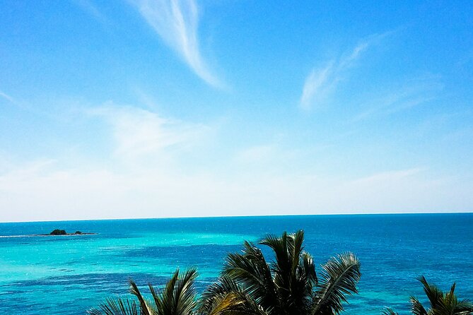 Private Full-Day Tour of Florida Keys from Miami/FLL to Key West - Key Points