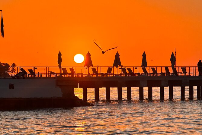 Private Full-Day Tour of Florida Keys from Miami/FLL to Key West - Stops Along the Route: Unique Landmarks and Wildlife