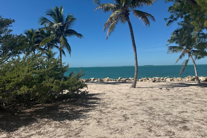 Private Full-Day Tour of Florida Keys from Miami/FLL to Key West - Practical Tips and Considerations