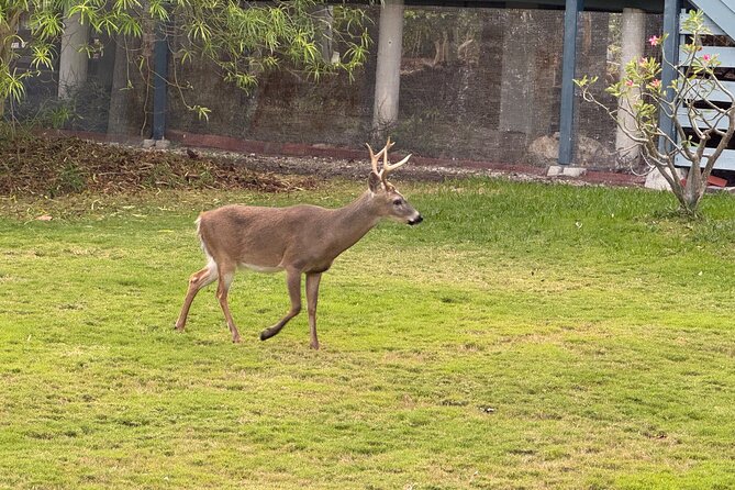 Private Full-Day Tour of Florida Keys from Miami/FLL to Key West - Suitable For Who?