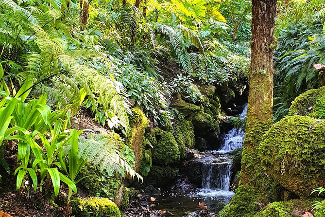 Private Full Day Tour of Sintra, Cascais and Estoril - Frequently Asked Questions