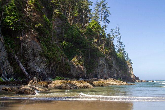 Private Full Day Tour Oregon Coast - Cape Meares and the Octopus Tree