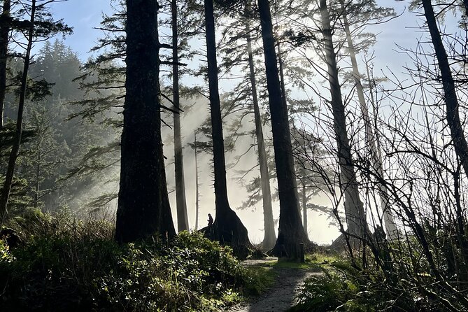 Private Full Day Tour Oregon Coast - Accessibility and Practical Information