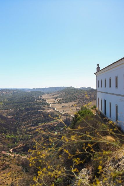 Private Full Day Tour Setubal - Explore the Historic Charm of Palmelas Castle and Wineries