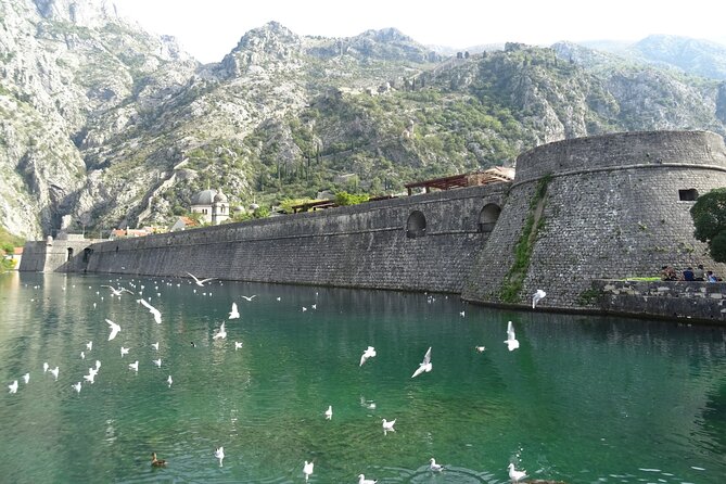 Private Full-Day Tour - Skadar Lake National Park, Saint Stefan and Kotor Tour - Who Should Consider This Tour