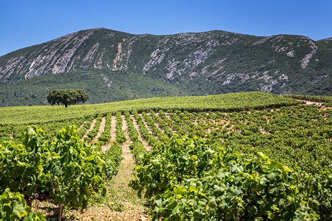 Private Full Day Tour through Sesimbra and Arrábida - Enjoying Portuguese Cuisine in Setúbal