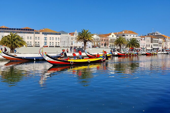 Private Full day Tour to Aveiro and Porto - The Charm of Porto’s Architectural Landmarks