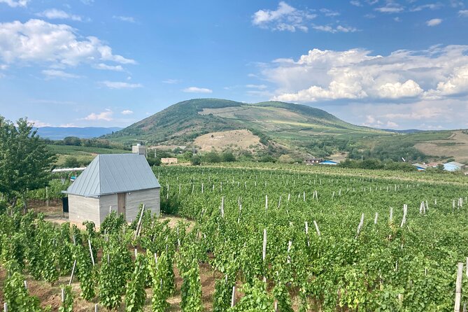 Private Full Day Tour to Eger - History, Culture and Wine - The Vibrant Atmosphere of Dobó István Square