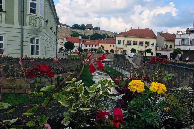Private Full Day Tour to Eger - History, Culture and Wine - Visiting the Thermal Springs of Egerszalók