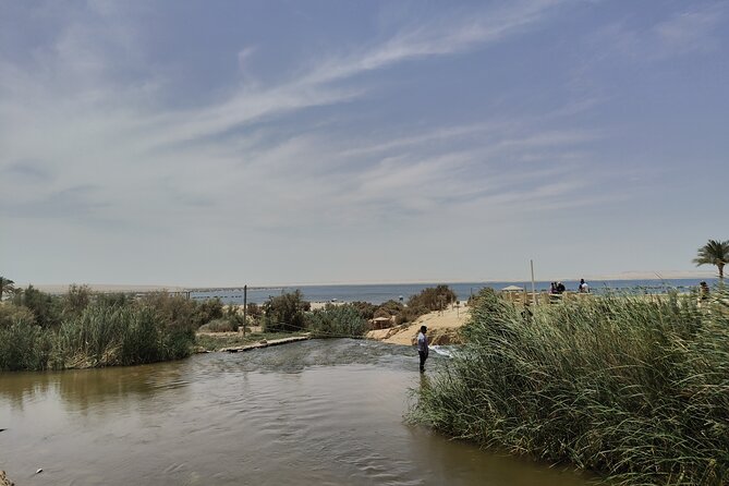 Private Full Day Tour to Fayoum Oasis with Transfer Included - Capturing Photos at Qaroun Lake, Egypt’s Largest Salty Lake