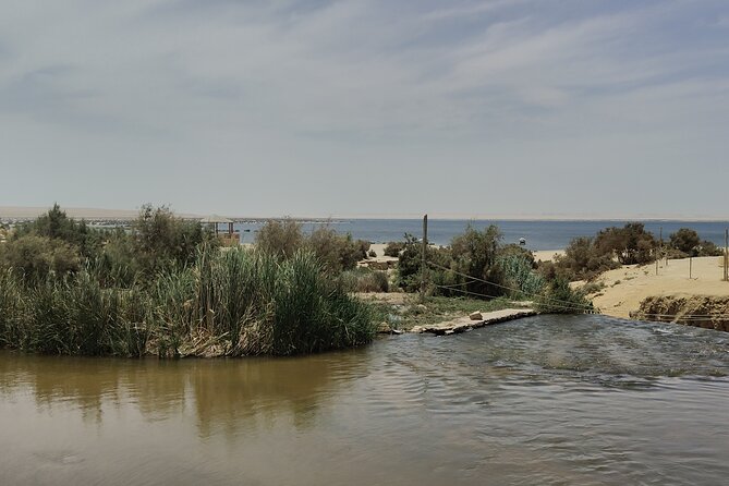 Private Full Day Tour to Fayoum Oasis with Transfer Included - Tasting Traditional Egyptian Cuisine with Molokheyya Soup