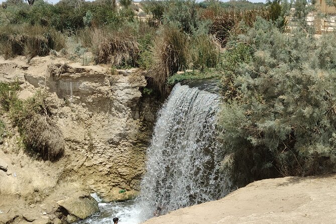 Private Full Day Tour to Fayoum Oasis with Transfer Included - The Scenic Drive Back to Cairo