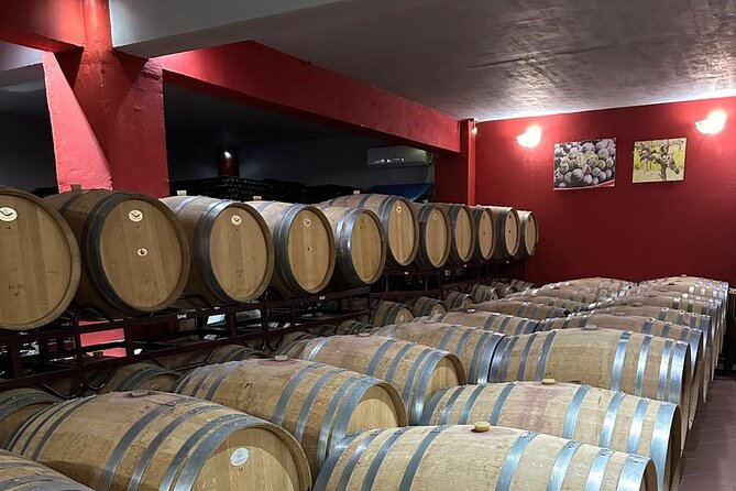 Private Full Day Tour to Nemea Wineries from Attica - First Winery Stop: Ktima Palivou