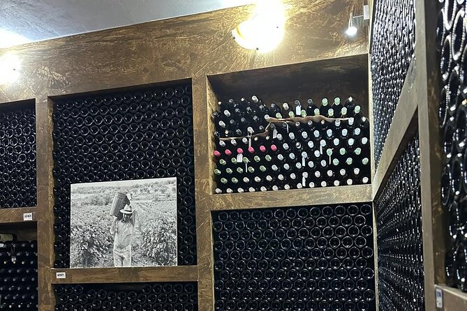 Private Full Day Tour to Nemea Wineries from Attica - Practical Details and Inclusions