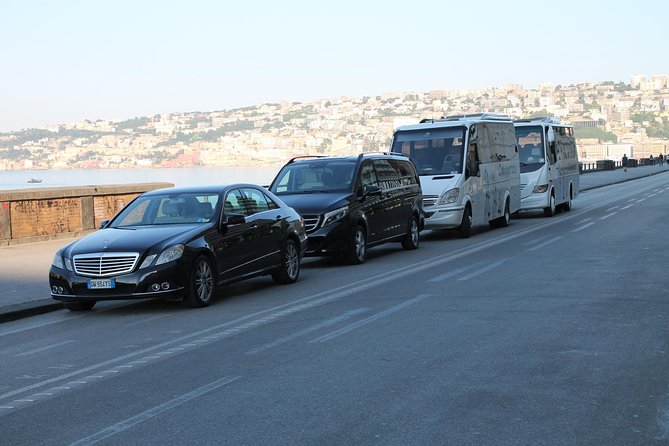 Private full day tour to Pompeii Amalfi Coast and Ravello - The Expertise of Cammarota Viaggi: Guides and Drivers