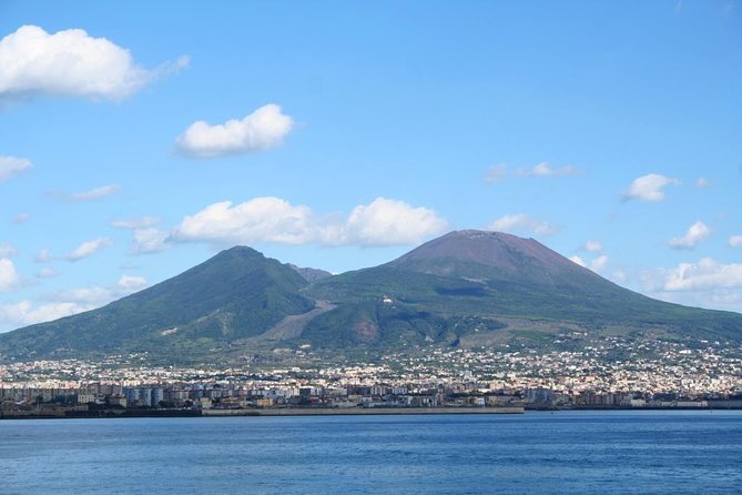 Private Full-Day Tour to Pompeii and Mt. Vesuvius with Winery Visit - Wine Tasting at Bosco de Medici Winery