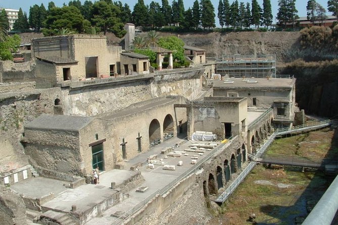 Private Full-Day Tour to Pompeii and Mt. Vesuvius with Winery Visit - Detailed Tour Itinerary and Timing