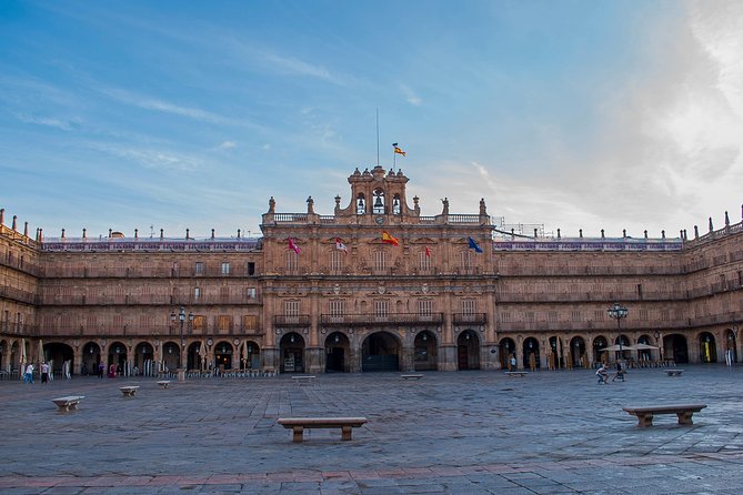 Private Full day Tour to Salamanca from Madrid with hotel pick up and drop off - Insights from reviews and overall impression