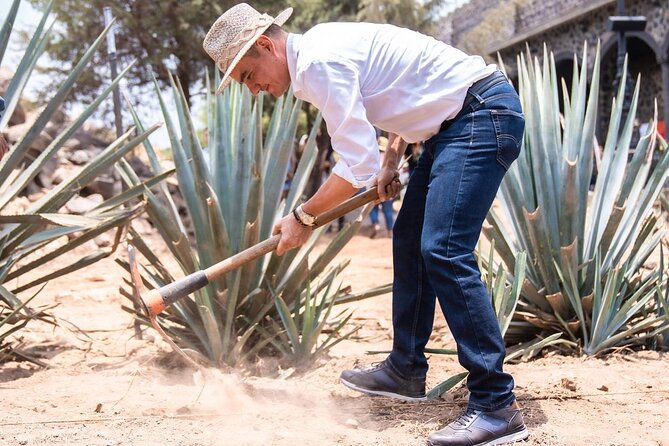 Private Full-Day Tour to Tequila Visiting El Castillo de Tequila - Included Amenities and Practical Details