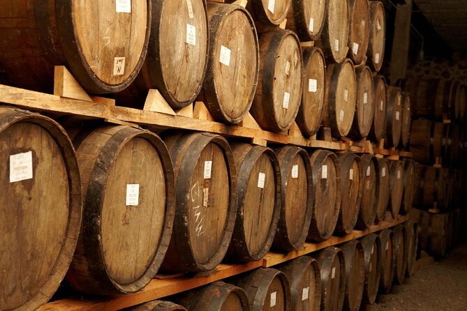 Private Full-Day Tour to Tequila Visiting Tequilera José Cuervo - Explore Tequila’s Charm with a Private Full-Day Tour from Guadalajara