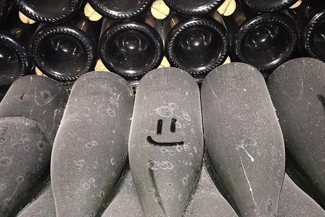 Private Full Day Tour - Visit of 3 Champagne Growers from Reims. - The Final Champagne Tasting and Local Sights