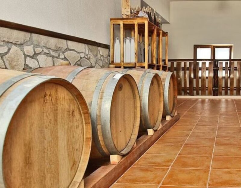 Private Full - Day Tour: Wine Tasting Tour to Peljesac - Key Points