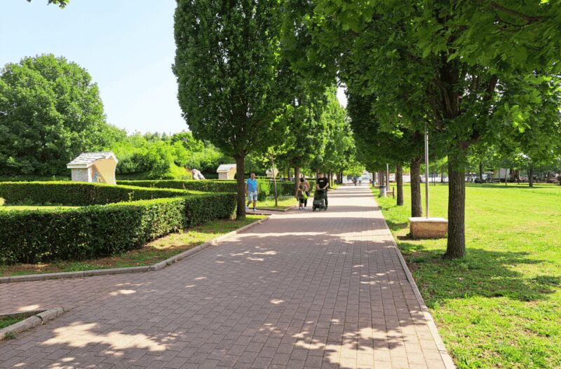 Private Full Day Trip Medjugorje from Dubrovnik - Valuable Insights from the Guide and Practical Tips