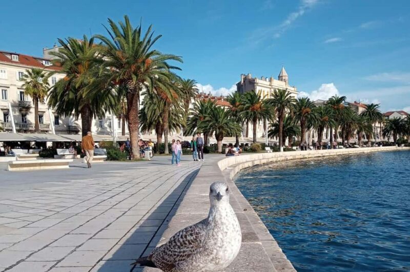 Private Full Day Trip Split from Dubrovnik - Practicalities: Booking, Cancellation, and Payment Flexibility