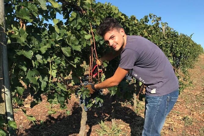 PRIVATE Full-Day Wine Experience in Chianti Classico. - Discovering Greve in Chianti and Its Historic Flavors